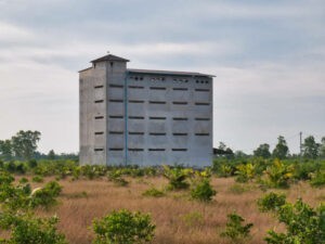 Vì sao yến sào miền Trung ngon hơn, nhà yến Phú Yên
