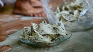 Cách sống chung với dịch bệnh trong những ngày bình thường mới - Tổ yến Kim's Nest