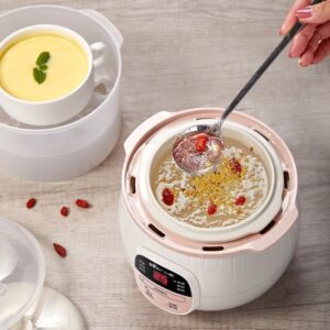 Chưng yến bằng nồi nấu chậm Bear - Yến sào Kim's Nest
