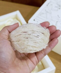 tổ yến rút lông Khánh Hòa chất lượng cao