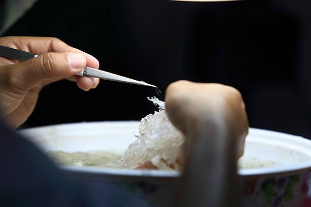 Cẩm nang yến sào Kim's Nest hướng dẫn cách làm sạch yến nhanh nhất